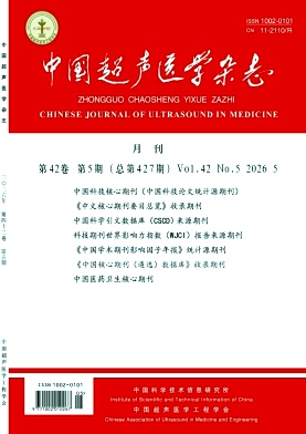 中国超声医学封面